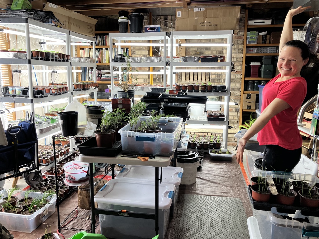 Sara's basement seed-starting setup